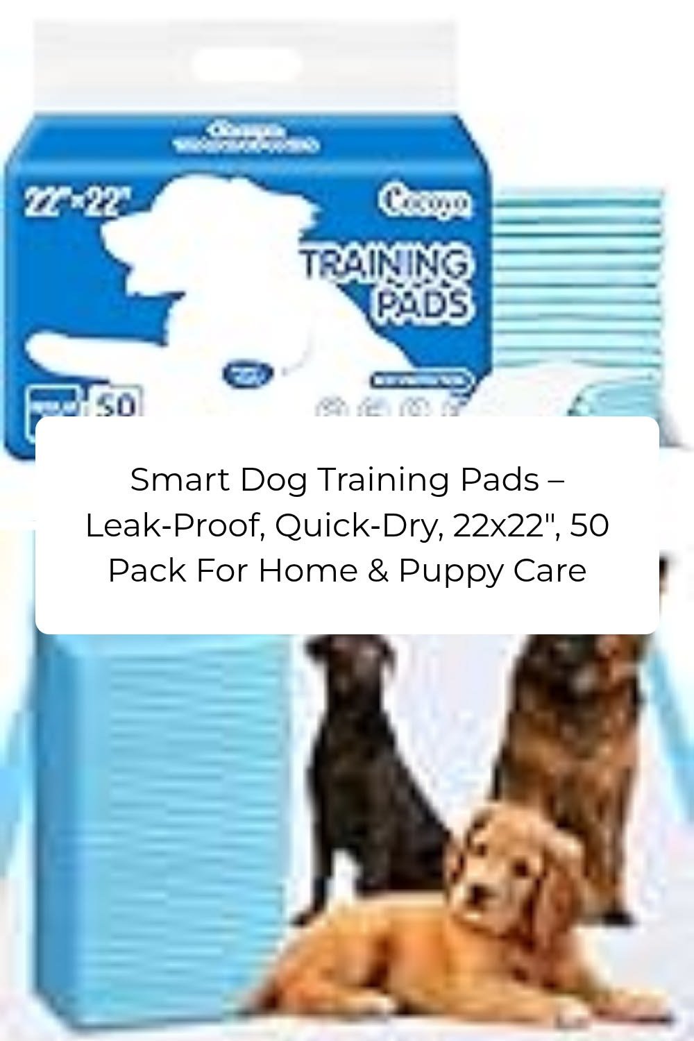 Smart Dog Training Pads – Leak‑Proof, Quick‑Dry | Best Puppy Pads for Home & Senior Dog CareSmart Dog Training Pads, Quick‐Dry, 22×22″, 50 Pack for Home & Puppy Care